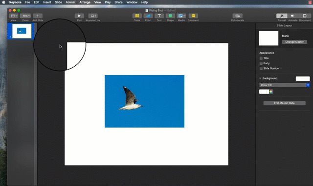 keynote-mask-tools