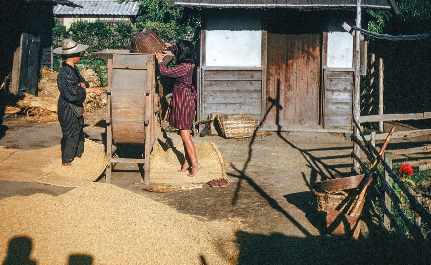 Image of two women using a large wooden wheel like machine to hull rice